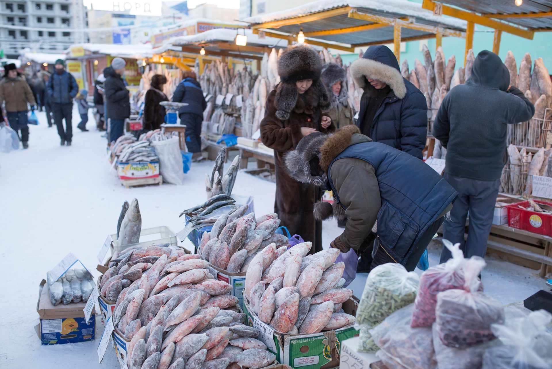 Якутия выходные. Рынок рыбы в Якутске. Якутск рынок крестьянский зима. Рыба в Якутии на рынке. Якутский рыбный рынок.