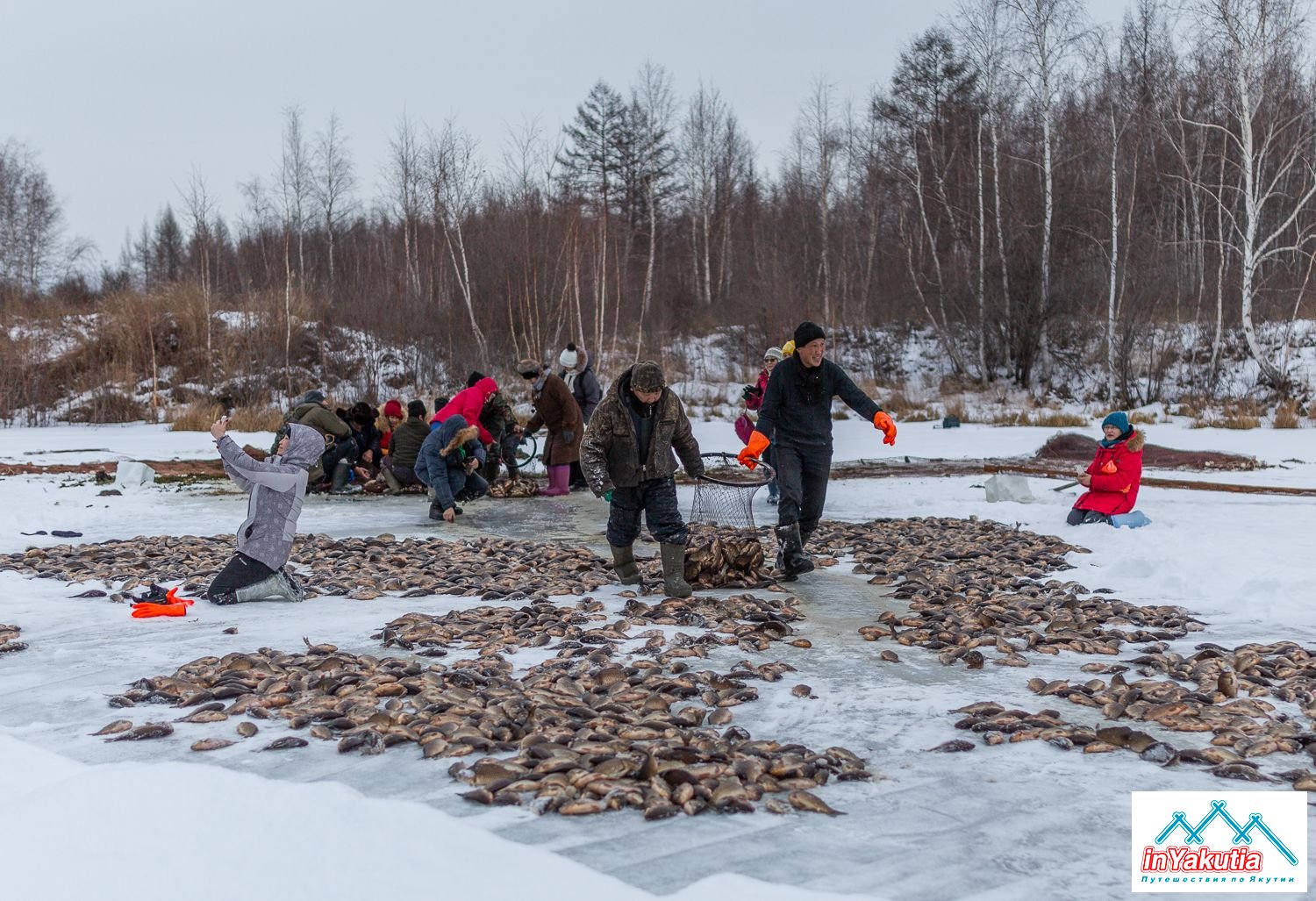Рыбалка в якутии зимой 2020. Мунха. Рыбалка в Якутии мунха. Рыбалка в Якутии 2023. Зимняя рыбалка в Якутии 2021.