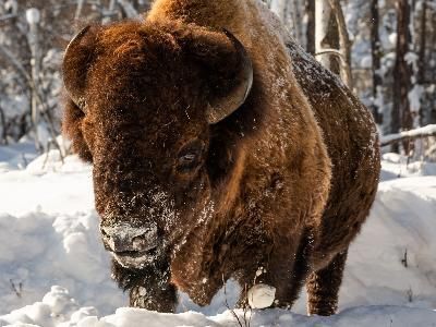 Предстоящие туры 29 февраля, 1 марта Предстоящие туры 29 февраля, 1 марта