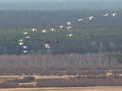 По Кангаласскому Мысу