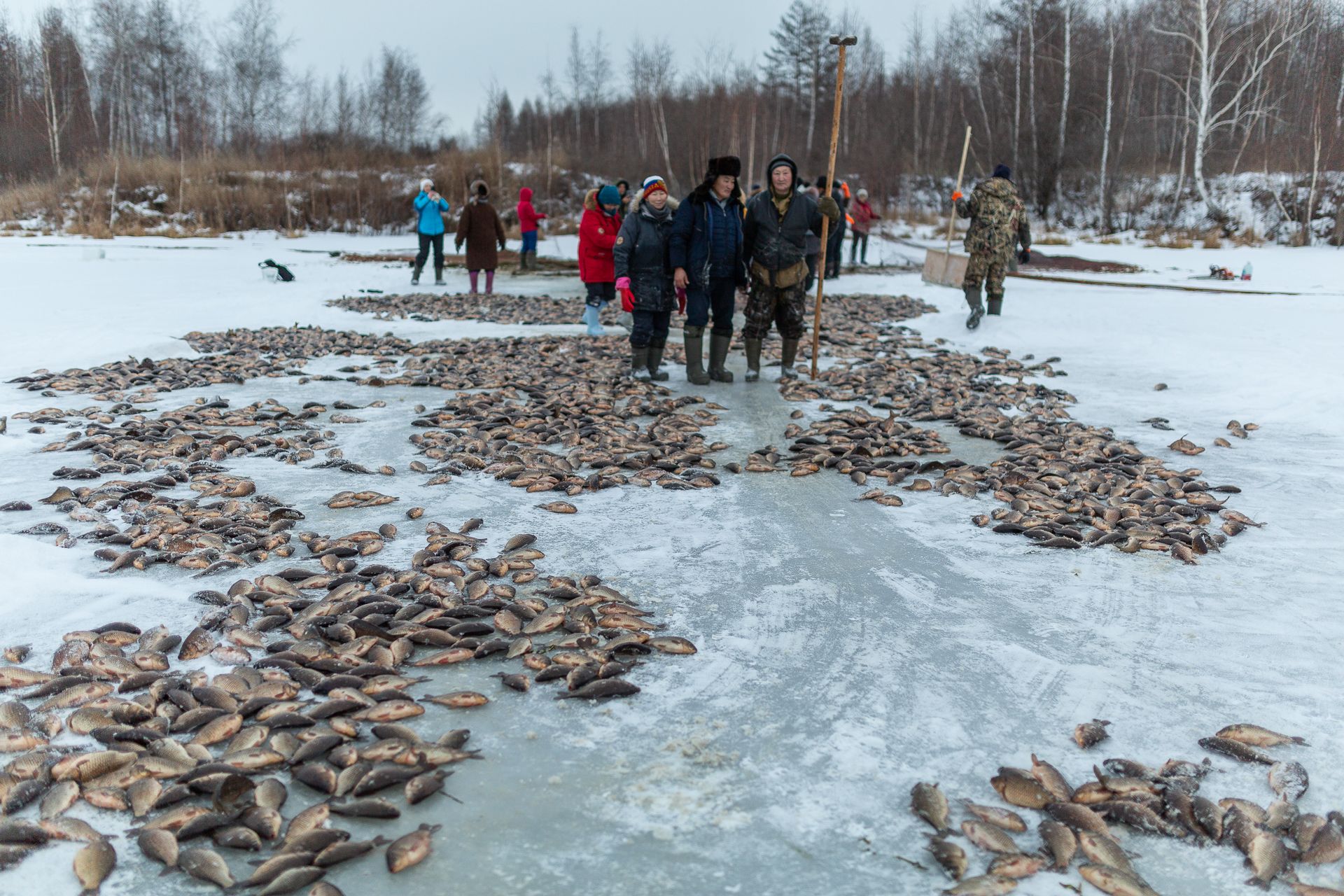 Рыбалка в якутии зимой 2020 новое