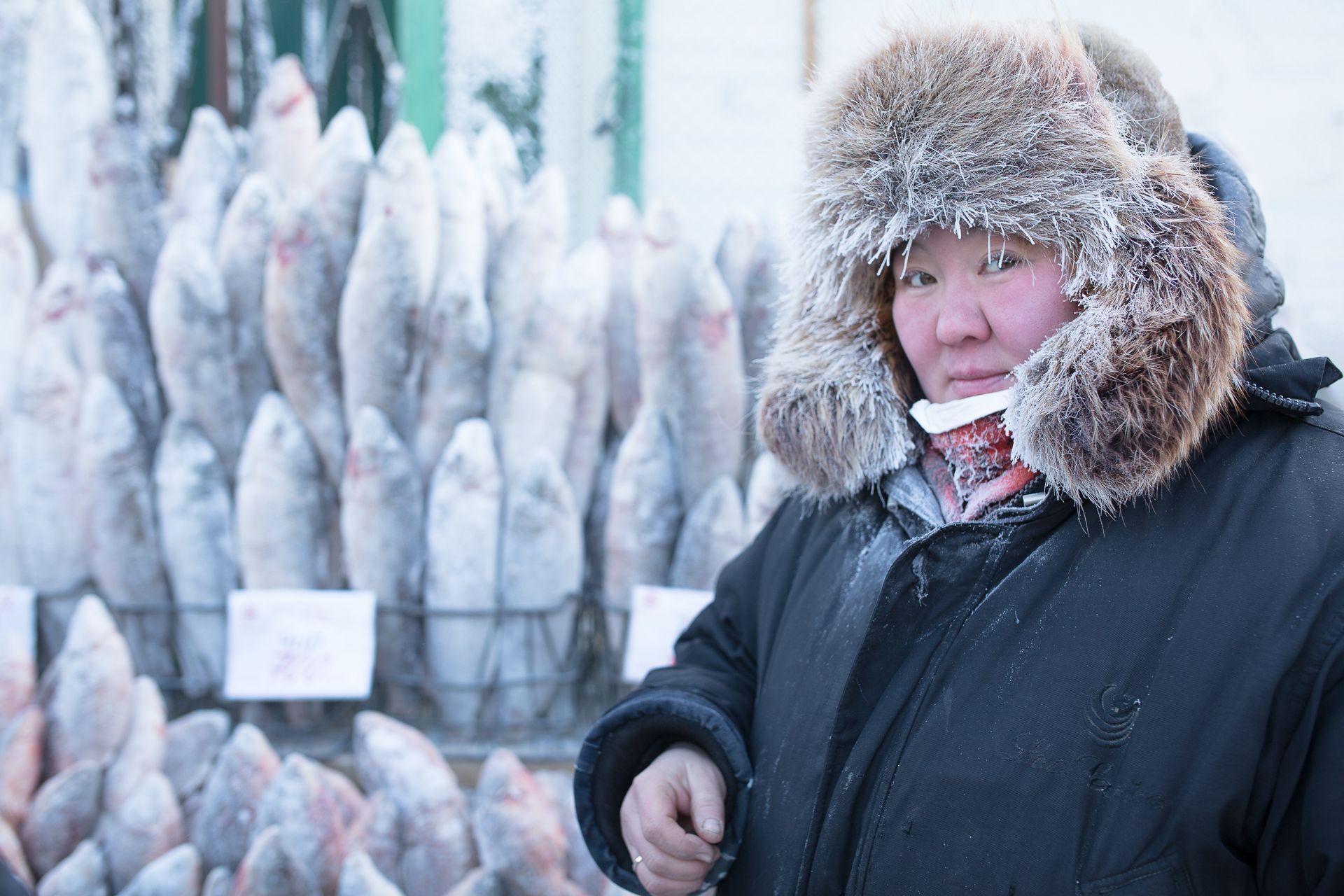 Якутия выходные. Оймякон строганина. Оймякон рынок. Рынок рыбы в Якутске. Оймякон рыба.