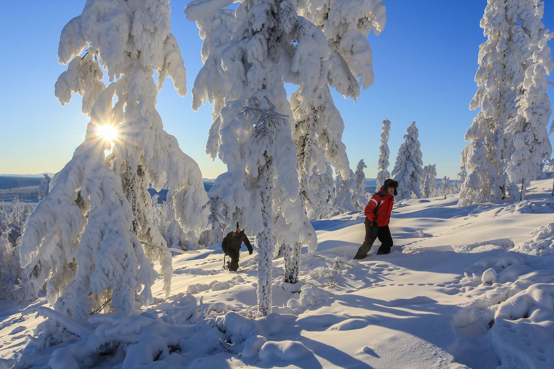 Где в тайге самые низкие температуры зимой. Оймякон. Оймякон, Якутия. Оймякон климат. Оймякон зимой.