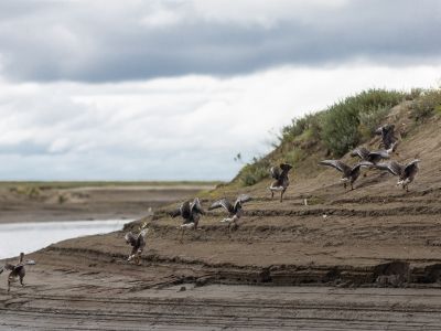 Переезд до участка Бурулгино, 80 км.