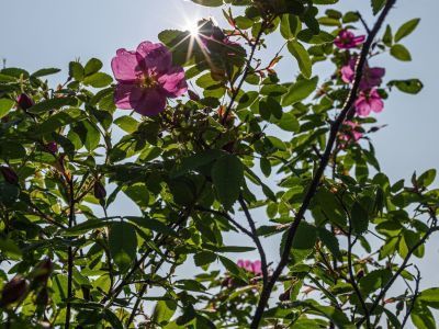 Галина, 65 лет. Сплав по реке Лена: Ленские Столбы, тукуланы