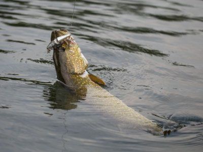 Советы по рыбалке со своего опыта