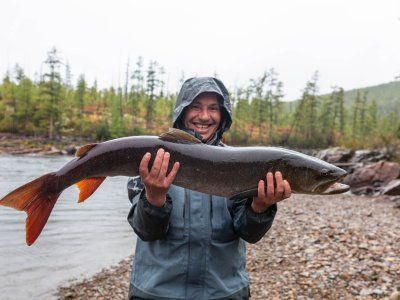 Таймень. Все о самом крупном лососе нашей планеты.