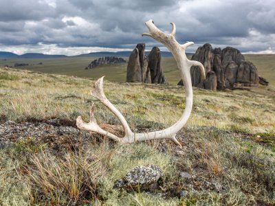 Каменные Люди Сундуруна