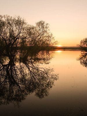 Луковый сплав