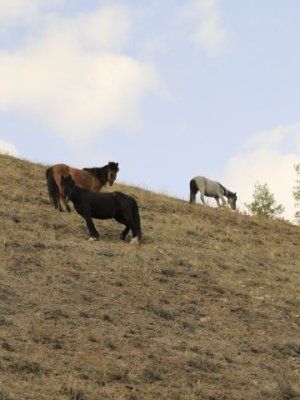 К Древним вулканам Туймаады Двухдневный поход с ночевкой в палатке