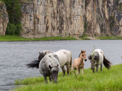 Река Синяя. Синские столбы
