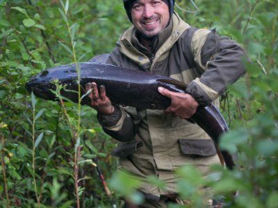 Таймень. Все о самом крупном лососе нашей планеты.