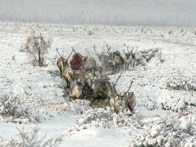 Путешествия по Якутии