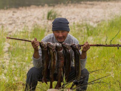 Местников Михаил Иванович