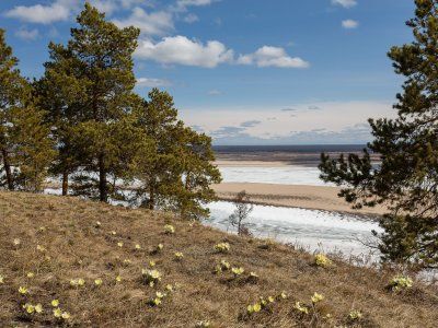 Табагинский мыс