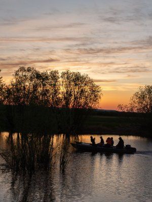 Луковый сплав