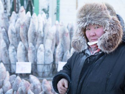 О строганине