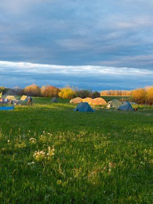 Луковый сплав