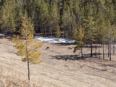 К Древним вулканам долины Туймаада