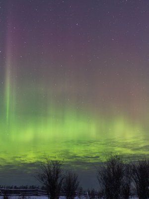 Арктическая автоэкспедиция "Индигирка". Якутск – Оймякон – Чокурдах – Русское Устье