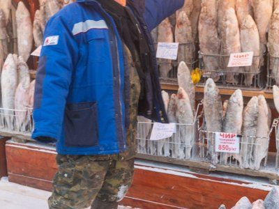 О строганине