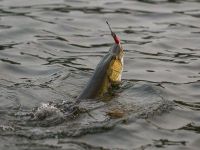 Советы по рыбалке со своего опыта