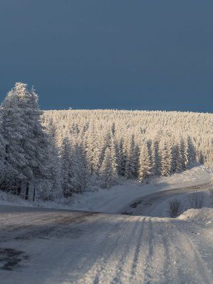Автопутешествие Якутск - Оймякон - Магадан (Зимний сезон)