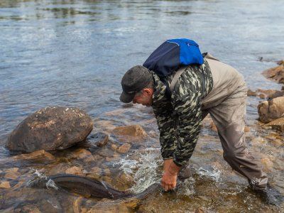Таймени Мулама и Идюма