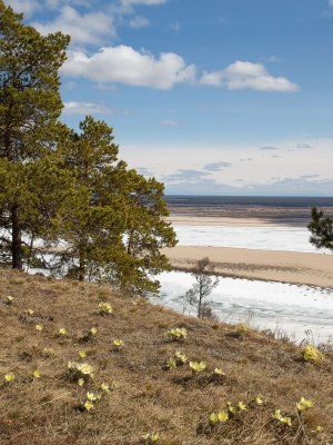 Весеннее пробуждение. Пешая экскурсия по Табагинскому Мысу