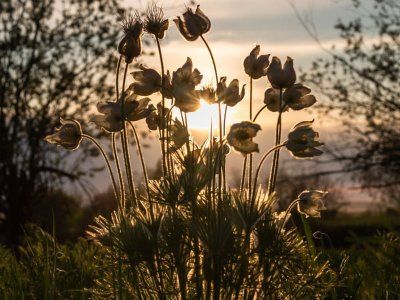 Отзывы с Лукового Сплава - 2023