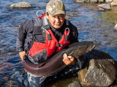 Местников Михаил Иванович