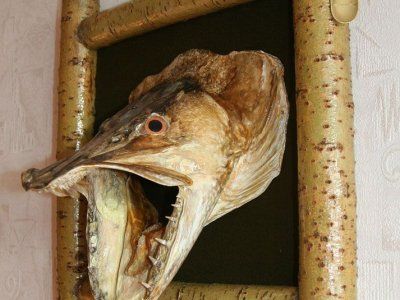 Советы по рыбалке со своего опыта