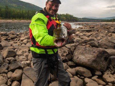 Таймень. Все о самом крупном лососе нашей планеты.