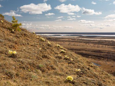 Табагинский мыс