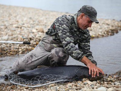 Таймень. Все о самом крупном лососе нашей планеты.