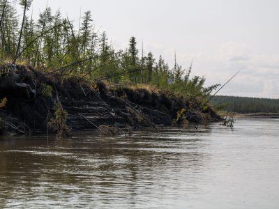 Река Индигирка