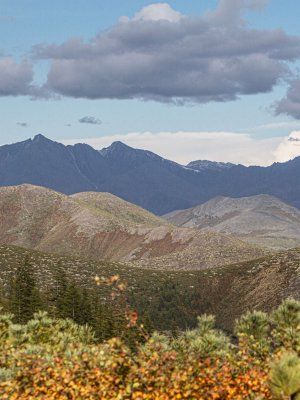 Автопутешествие "Якутск - Оймякон - Магадан" (Летний сезон)