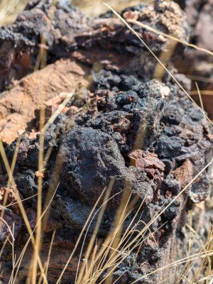 К Древним вулканам Туймаады Двухдневный поход с ночевкой в палатке