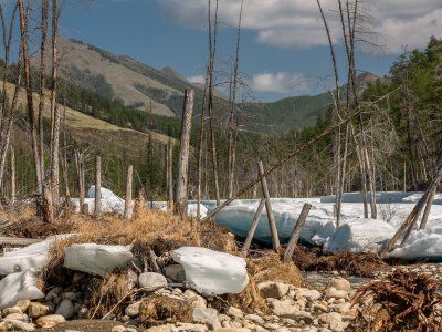 В Затерянный Мир Индигирки. Июль-август, 2019 г.