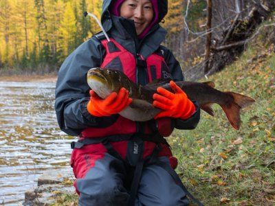 Таймень. Все о самом крупном лососе нашей планеты.