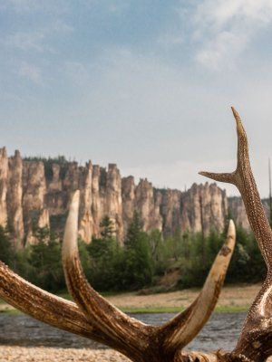 "Золотые Скалы реки Синяя". Синские, Ленские Столбы