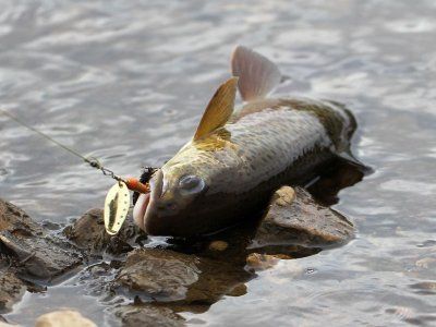 Советы по рыбалке со своего опыта