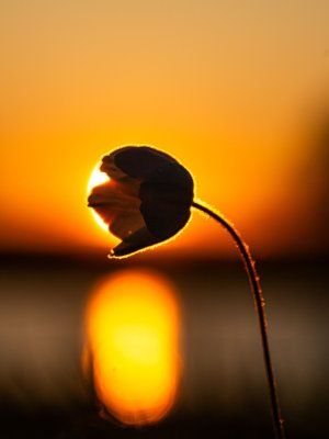 Сплав по реке Лена с посещением Ленских Столбов, тукуланов-песков Самыс Кумага и Кысыл Элэсин