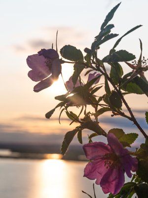 Сплав по реке Лена с посещением Ленских Столбов, тукуланов-песков Самыс Кумага и Кысыл Элэсин