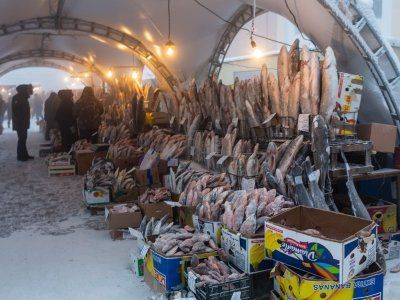 О строганине