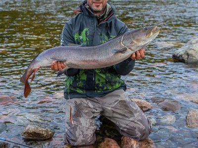 Таймень. Все о самом крупном лососе нашей планеты.