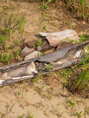 "Золотые Скалы реки Синяя". Синские, Ленские Столбы