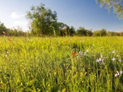 Отзывы туристов по водным походам выходного дня "По тукуланам реки Лена"