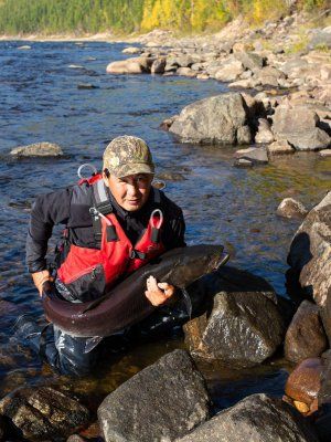 Рыбалка на трофейного тайменя на реке Гонам