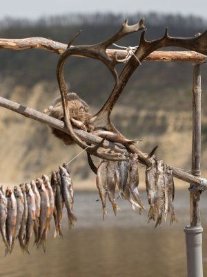 Сплав, отдых и рыбалка на реке Амга. Маршрут: Верхняя Амга - Оннес (390 км.)